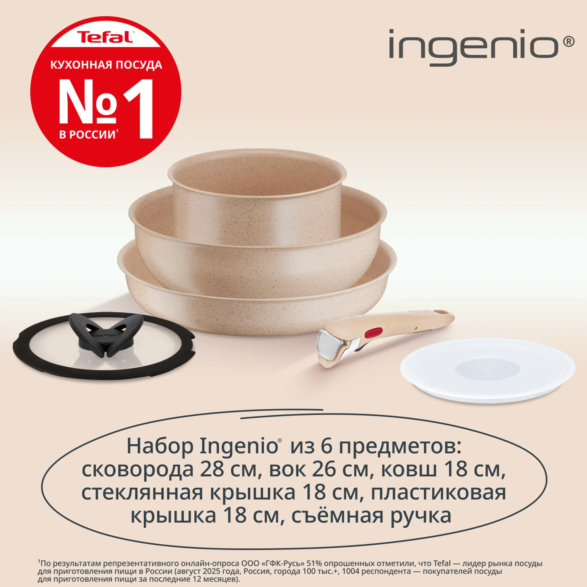 Набор посуды Tefal Ingenio Delight 6 предметов L7839522