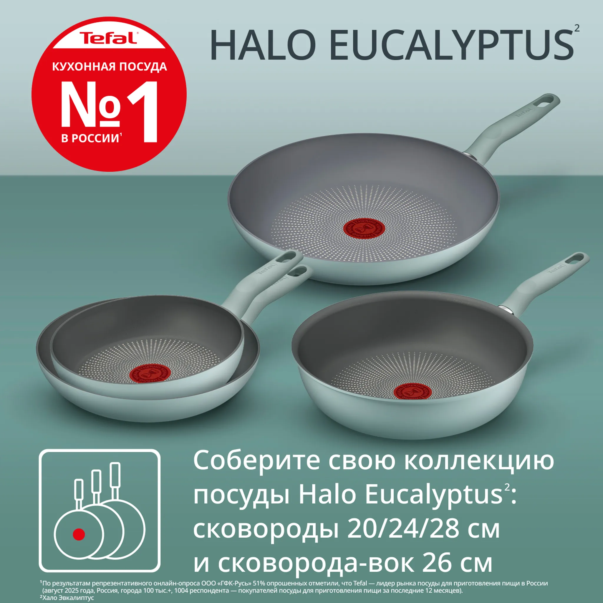 Сковорода-вок Tefal Halo Eucalyptus 26 см G0167702