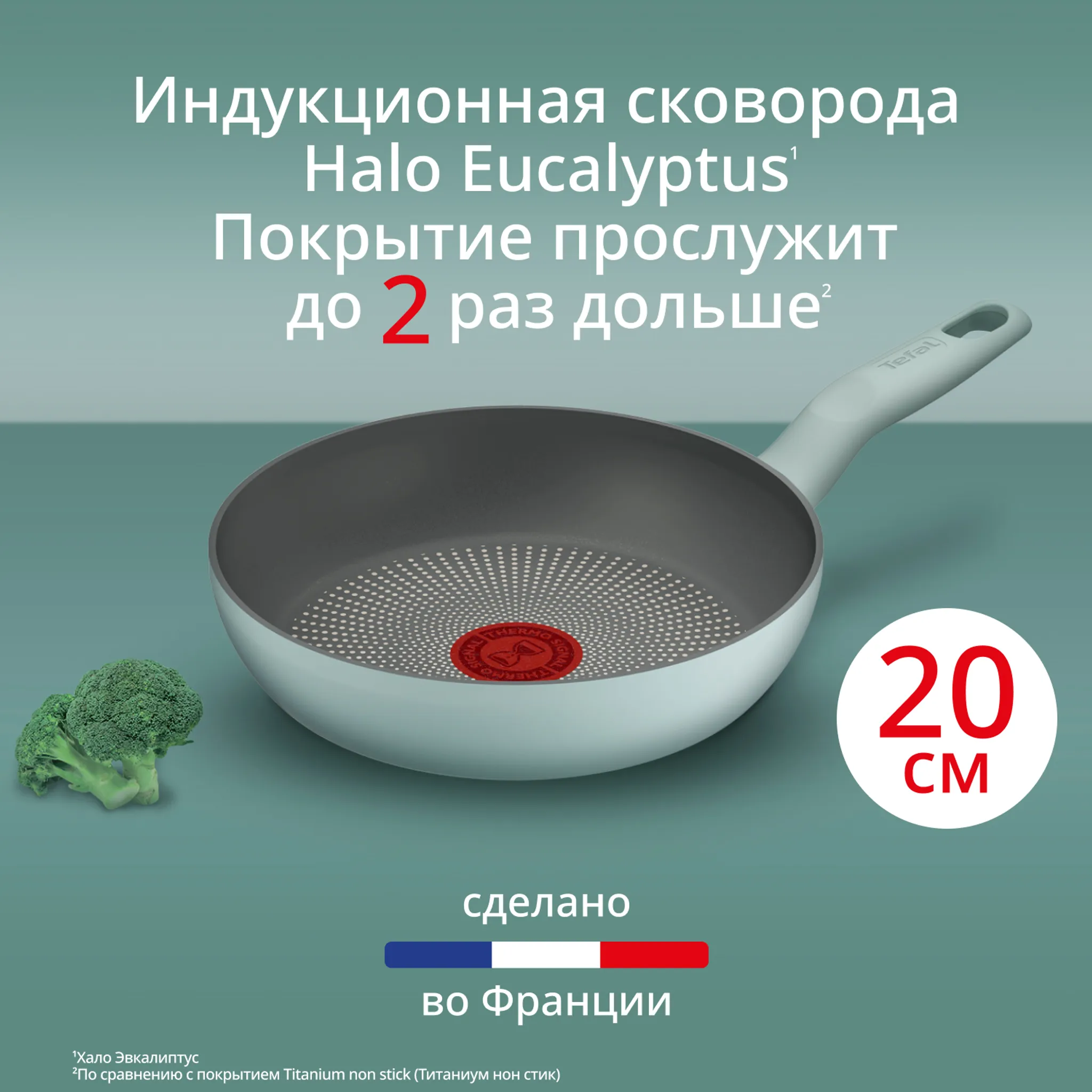 Сковорода Tefal Halo Eucalyptus 20 см G0160202 фото