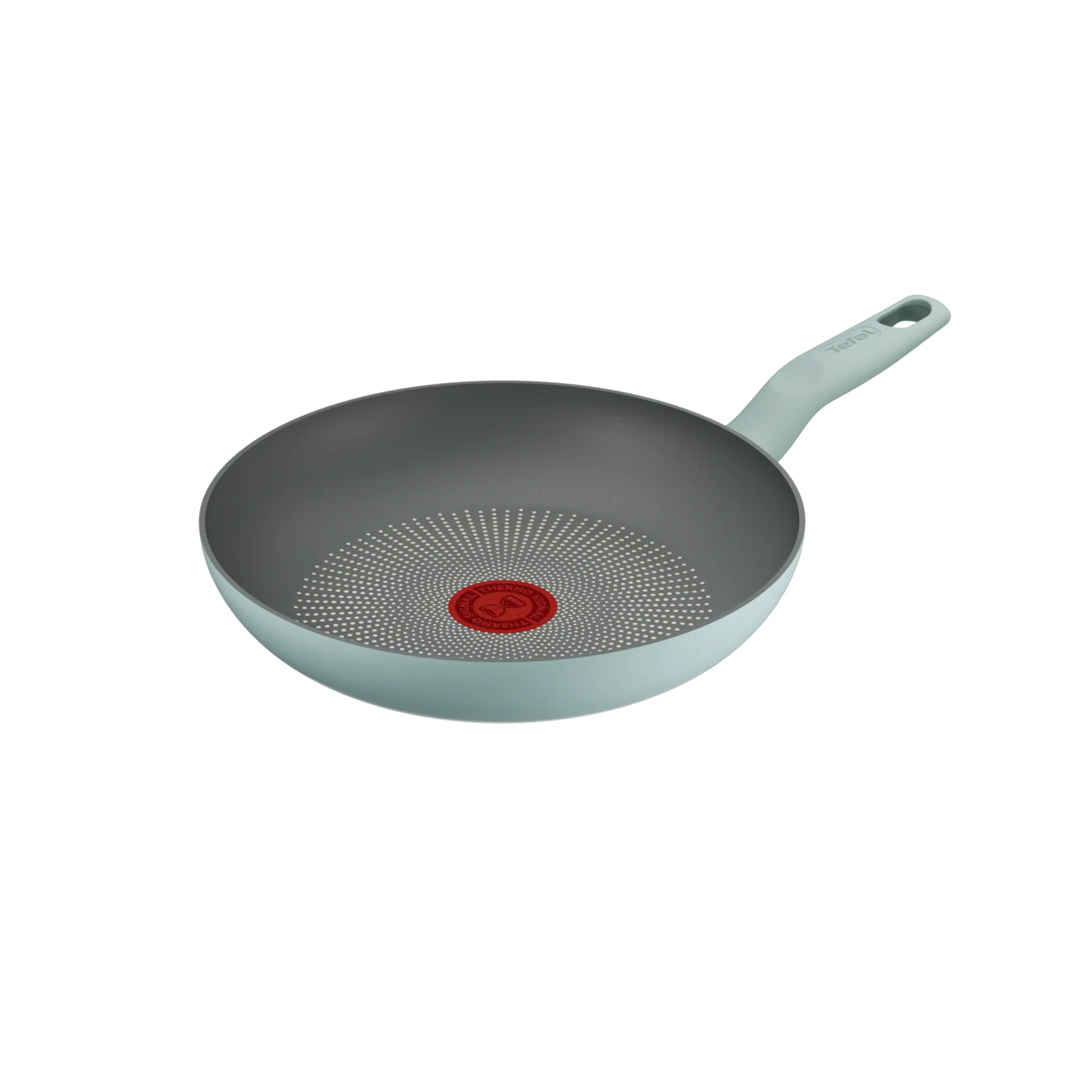 Сковорода Tefal Halo Eucalyptus 24 см G0160402 фото