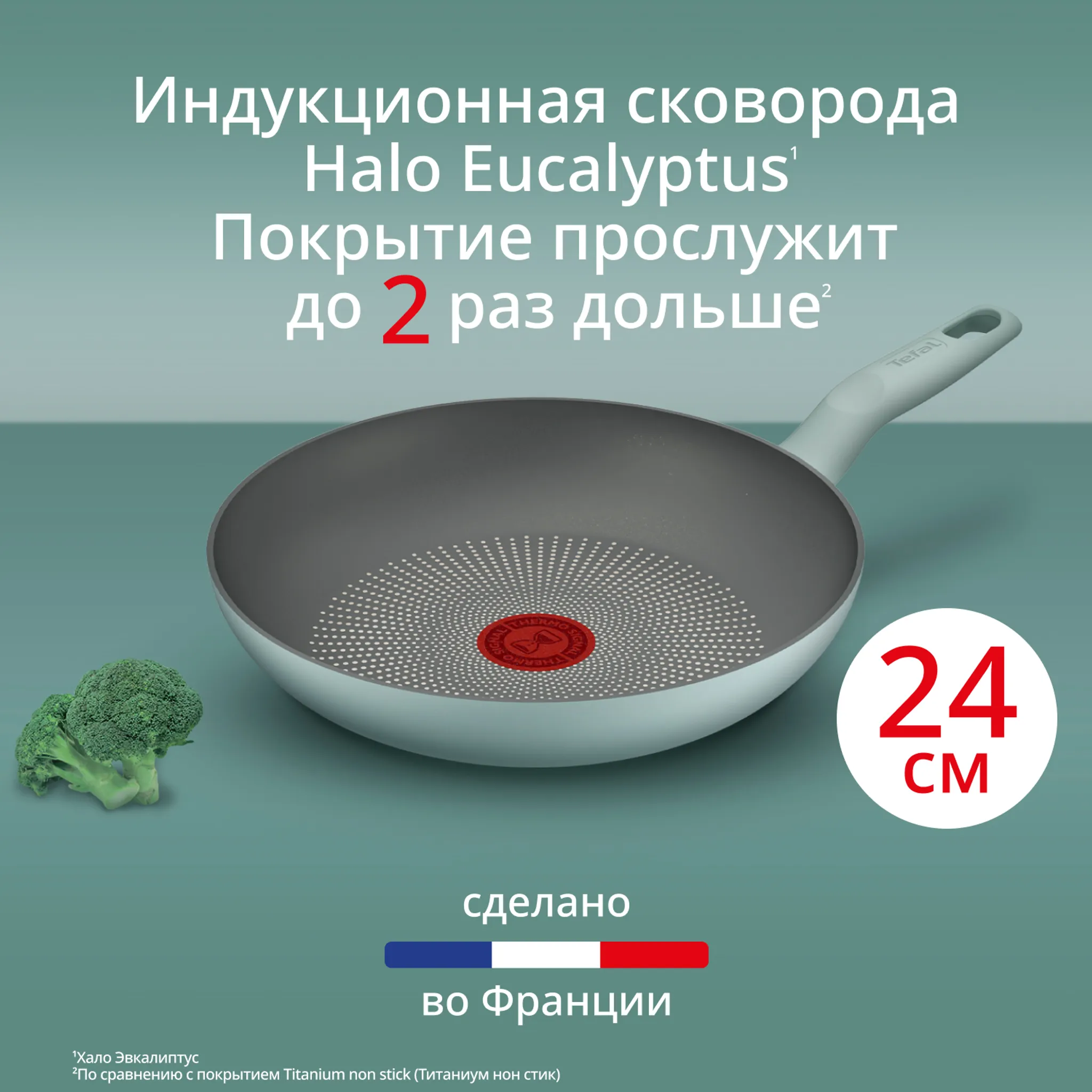 Сковорода Tefal Halo Eucalyptus 24 см G0160402 фото