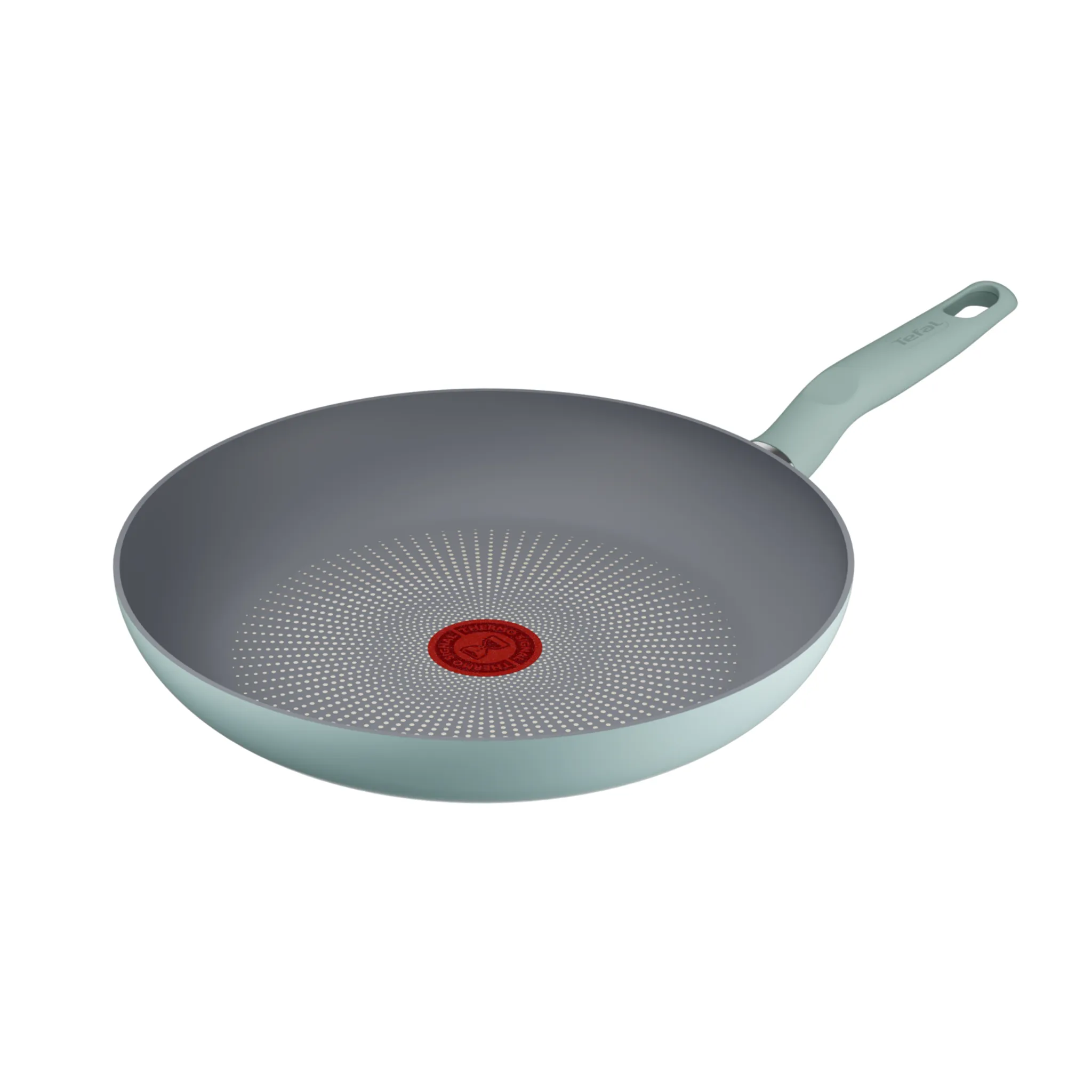 Сковорода Tefal Halo Eucalyptus 28 см G0160602 фото