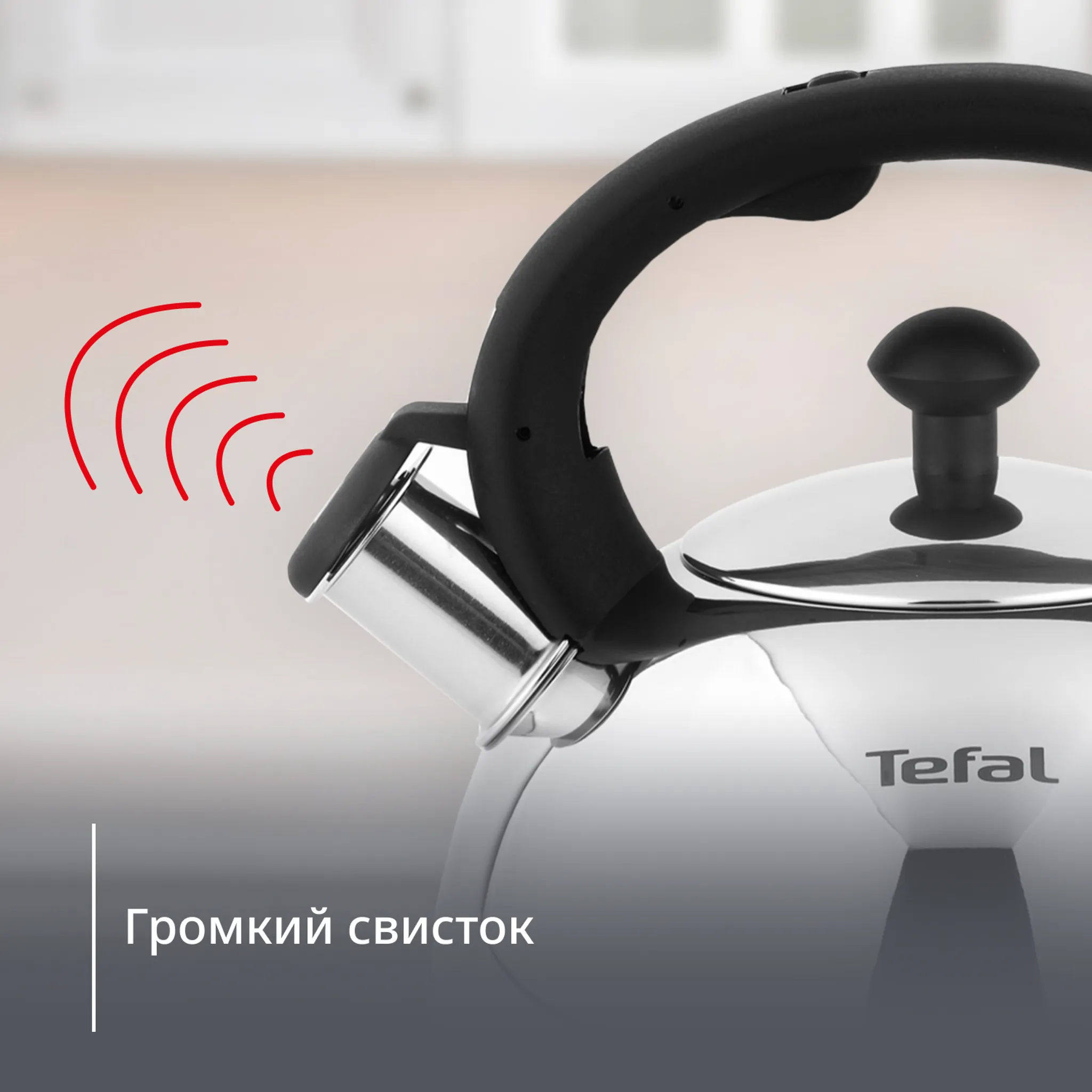 Чайник для плиты Tefal Wave 2.5 л N4210217