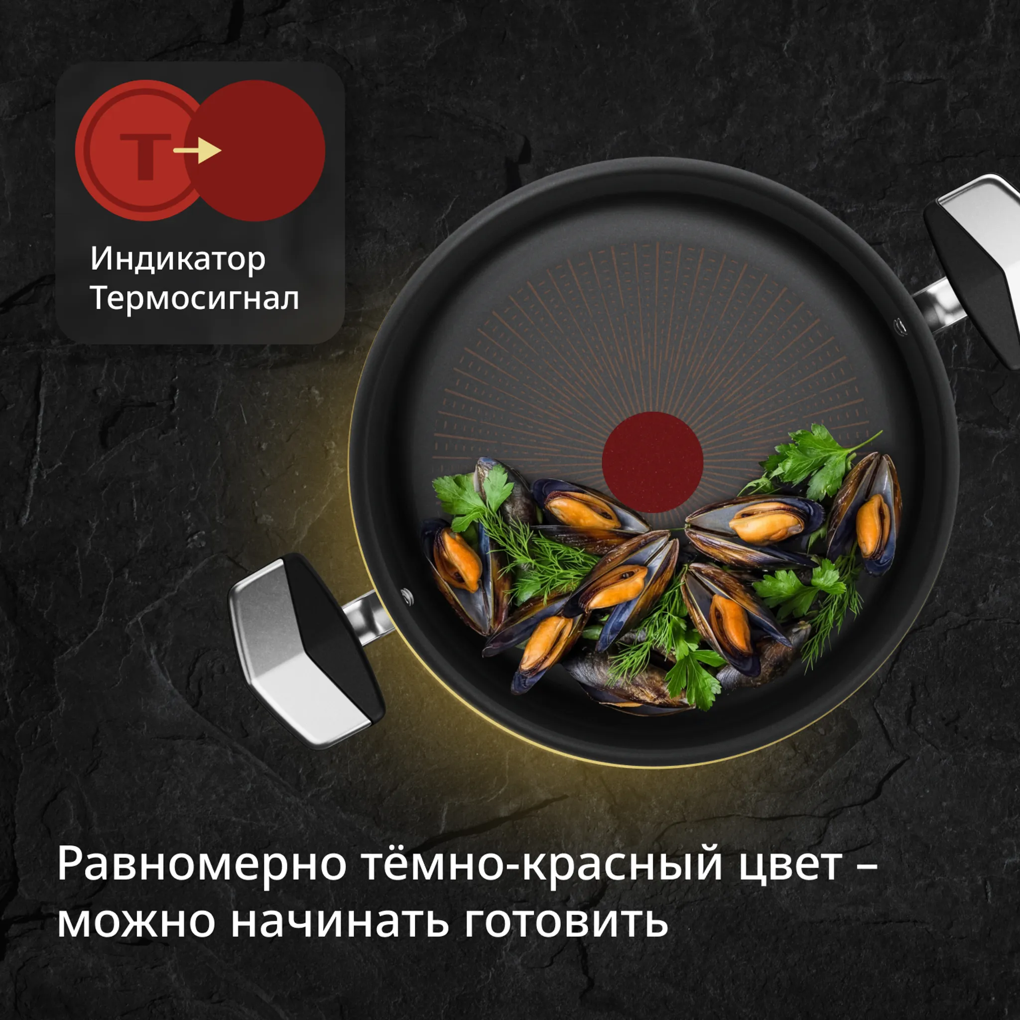 Кастрюля с крышкой Tefal Excellence Fusion G3414602 24 см