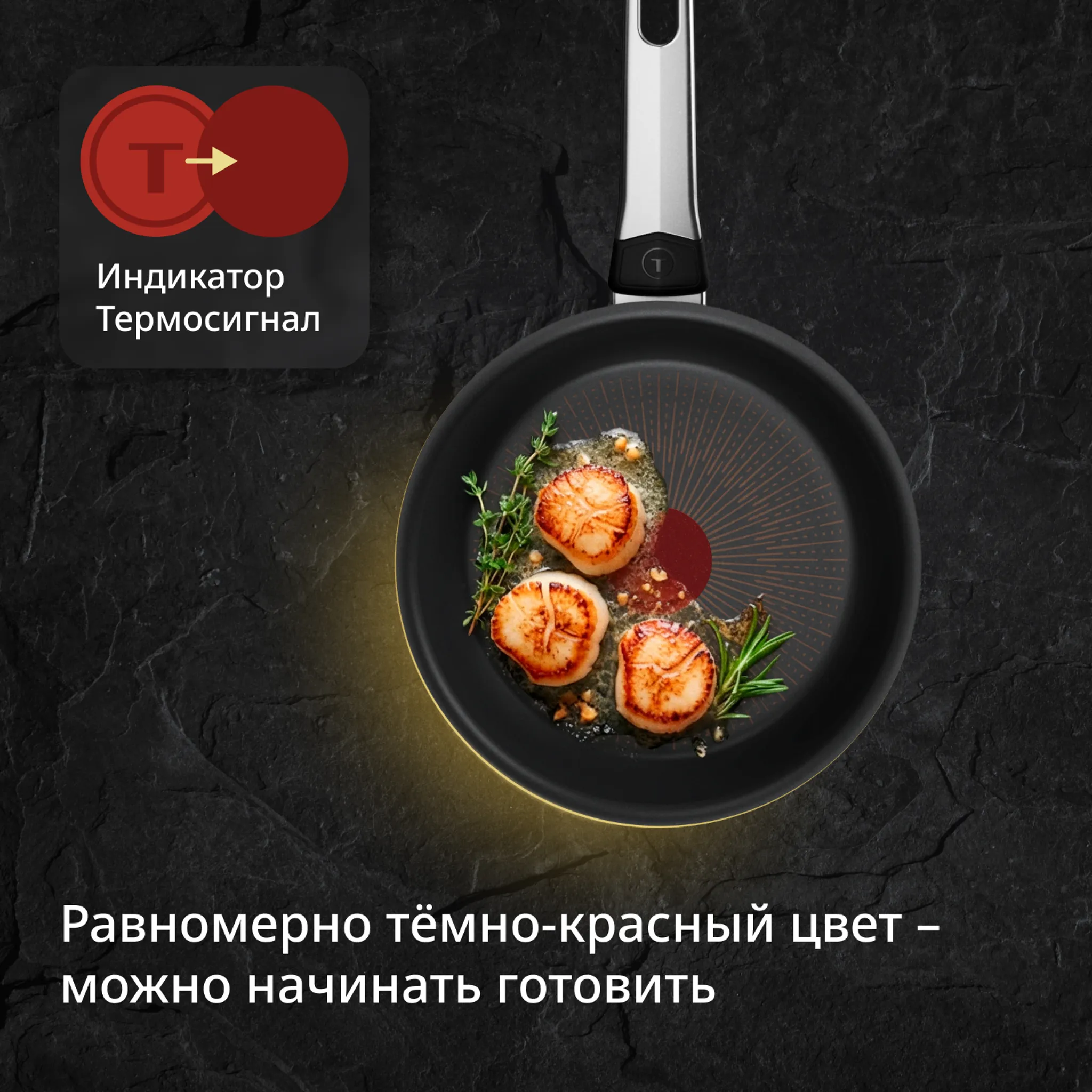 Набор индукционной посуды Tefal Excellence Fusion L 9 предметов 20/24/24/25/28/30см 5 л