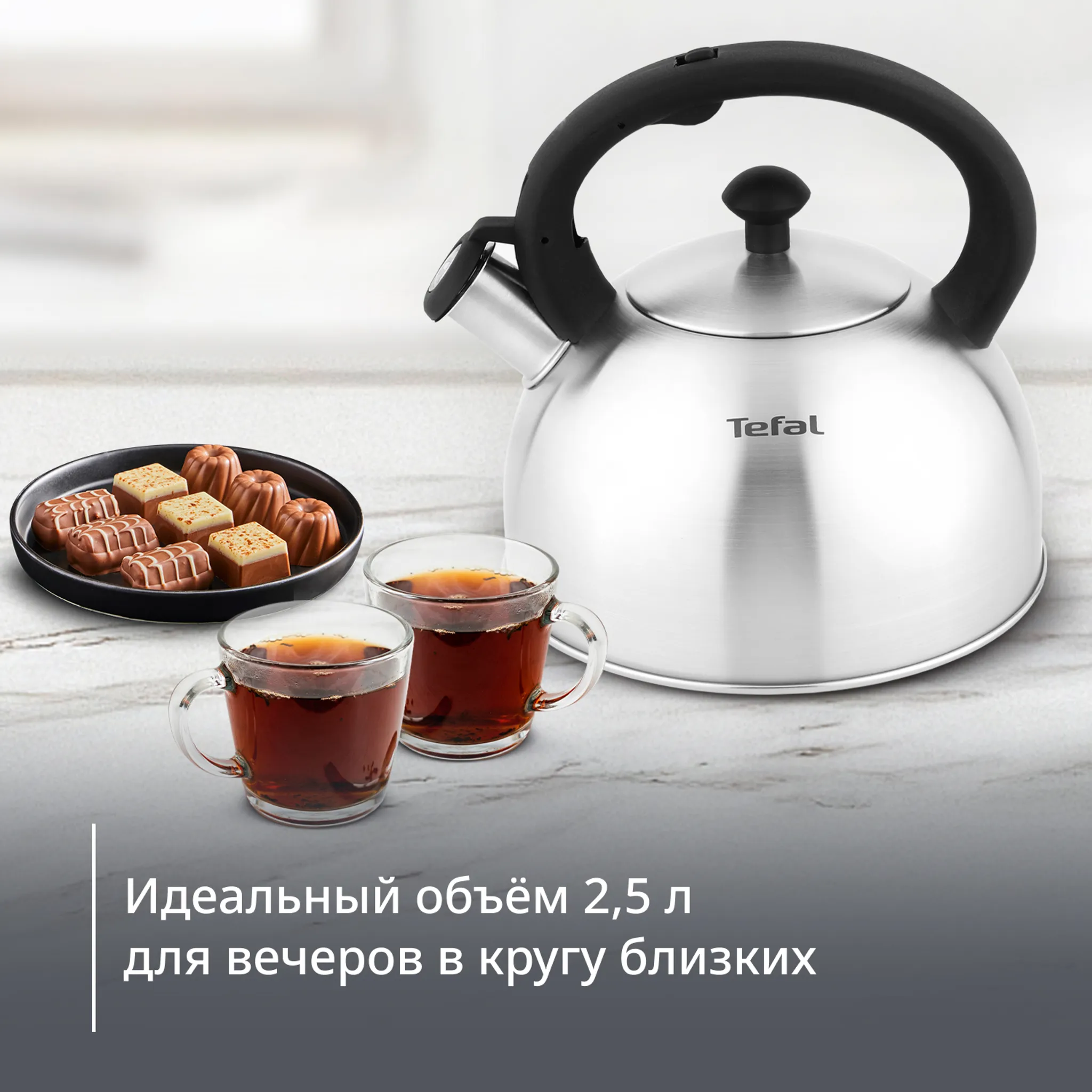 Чайник для плиты Tefal Nova 2,5 л N4210117