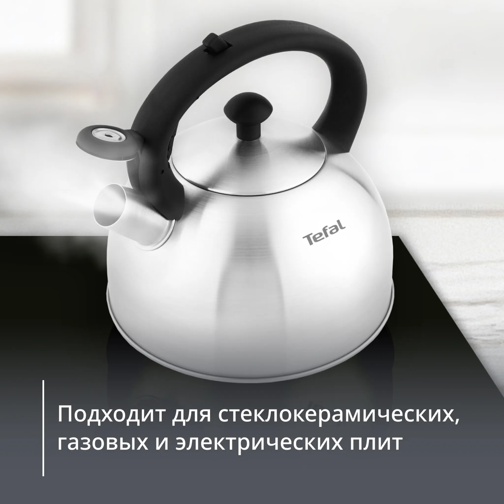 Чайник для плиты Tefal Nova 2,5 л N4210117