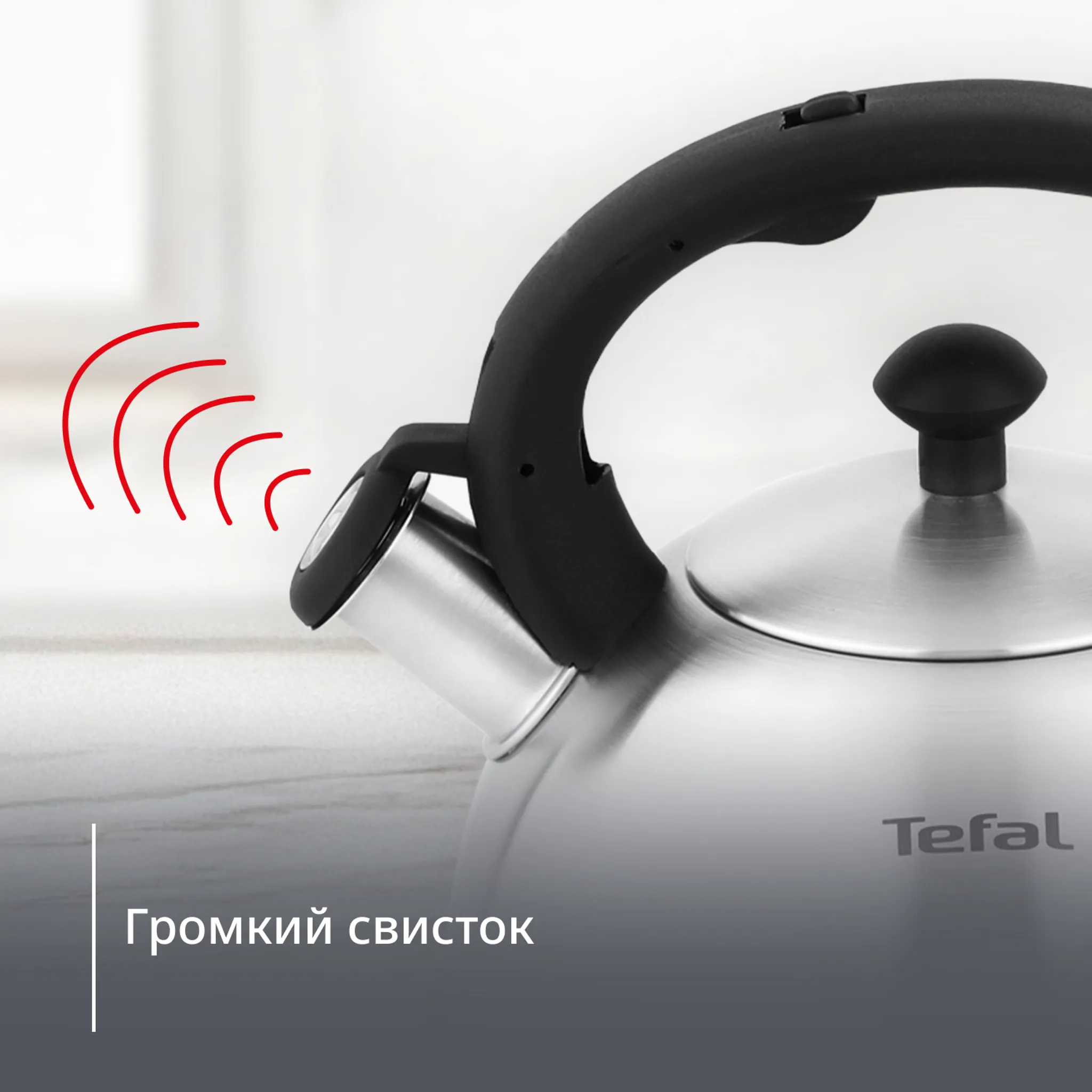 Чайник для плиты Tefal Nova 2,5 л N4210117