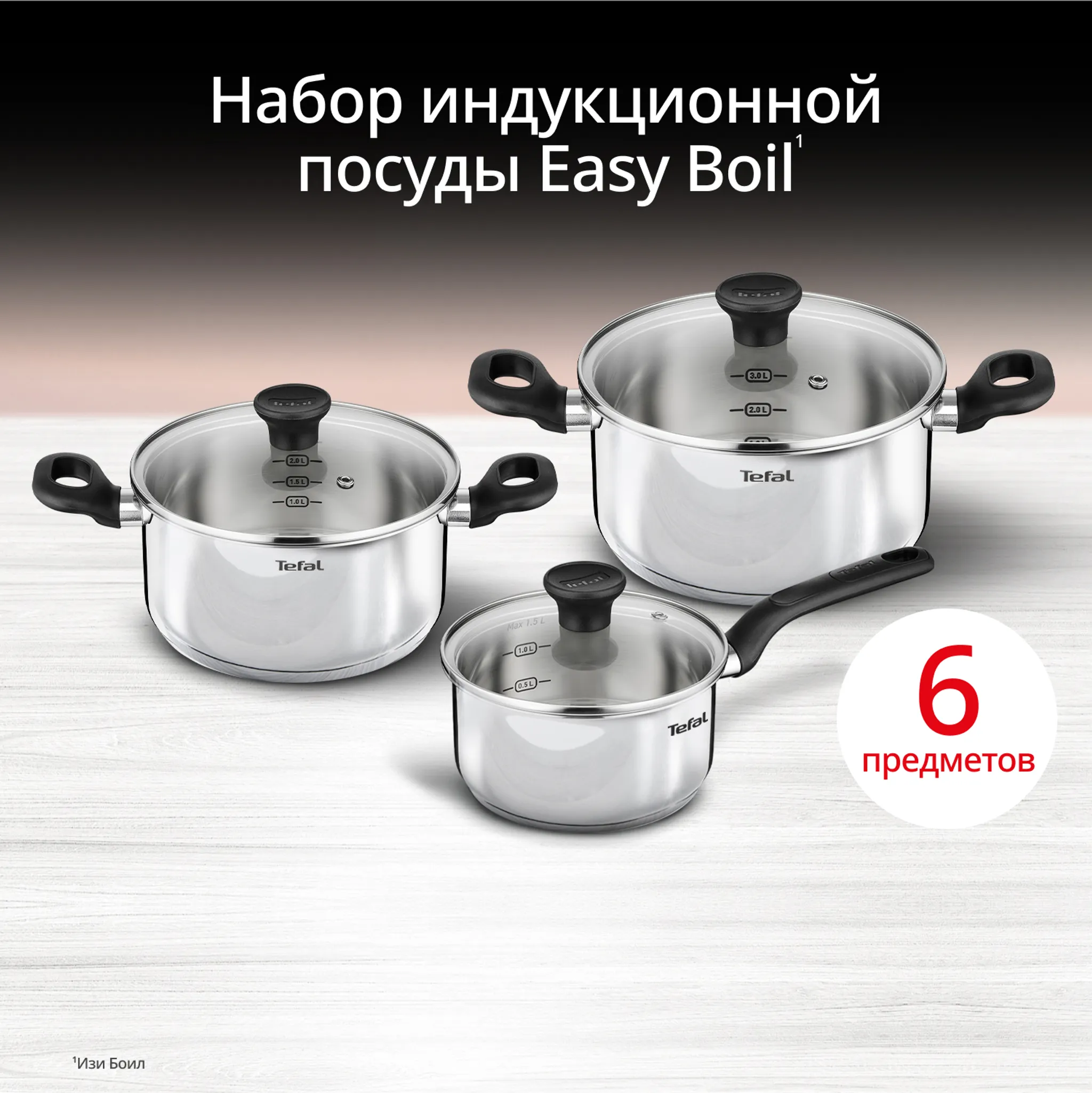 Набор посуды Tefal Easy boil 6 предметов G749S674