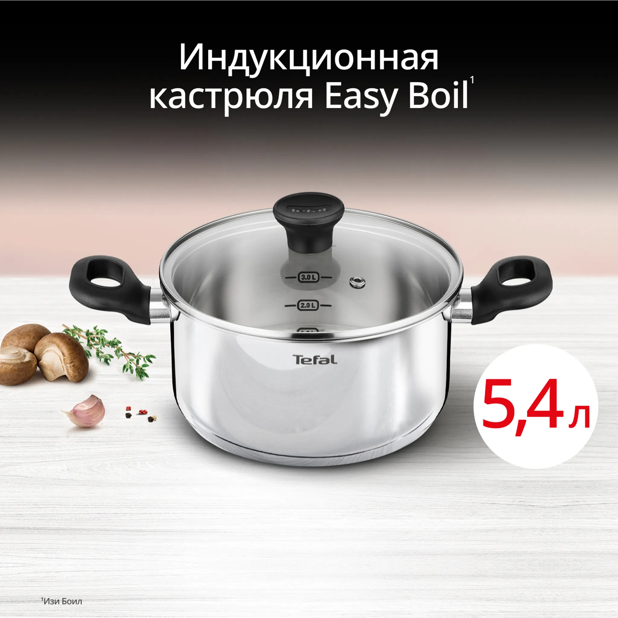 Сотейник Tefal Duetto 24 см G7494674