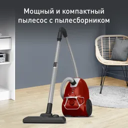 Пылесос с пылесборником Tefal Compact Power TW3953EA