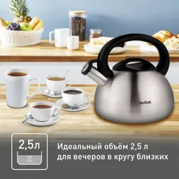 Чайник для плиты Tefal 2,5 л C7921024
