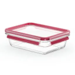 Отзывы о Стеклянный контейнер 1.1 л Tefal Masterseal Glass N1040910