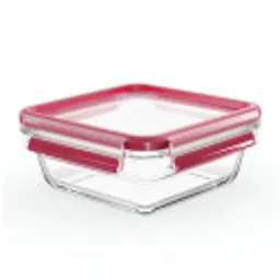 Отзывы о Стеклянный контейнер 0.8 л Tefal Masterseal Glass N1041410
