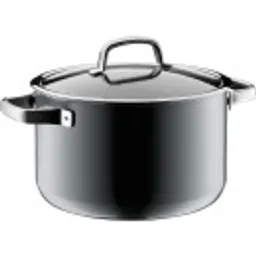 Отзывы о Кастрюля WMF Fusiontec Platinum 24 см