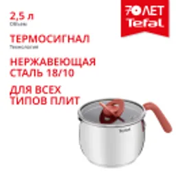 Отзывы о Мультикастрюля с крышкой Tefal Opti'Space 16 см G7211874