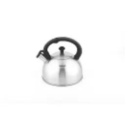 Отзывы о Чайник для плиты Tefal Nova 2,5 л N4210117
